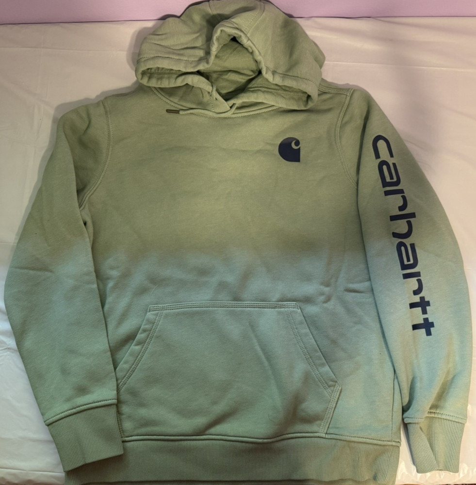 Carhartt Relaxed Fit Light Sage Pullover Hoodie Women's L EUC No Flaws Fast Ship