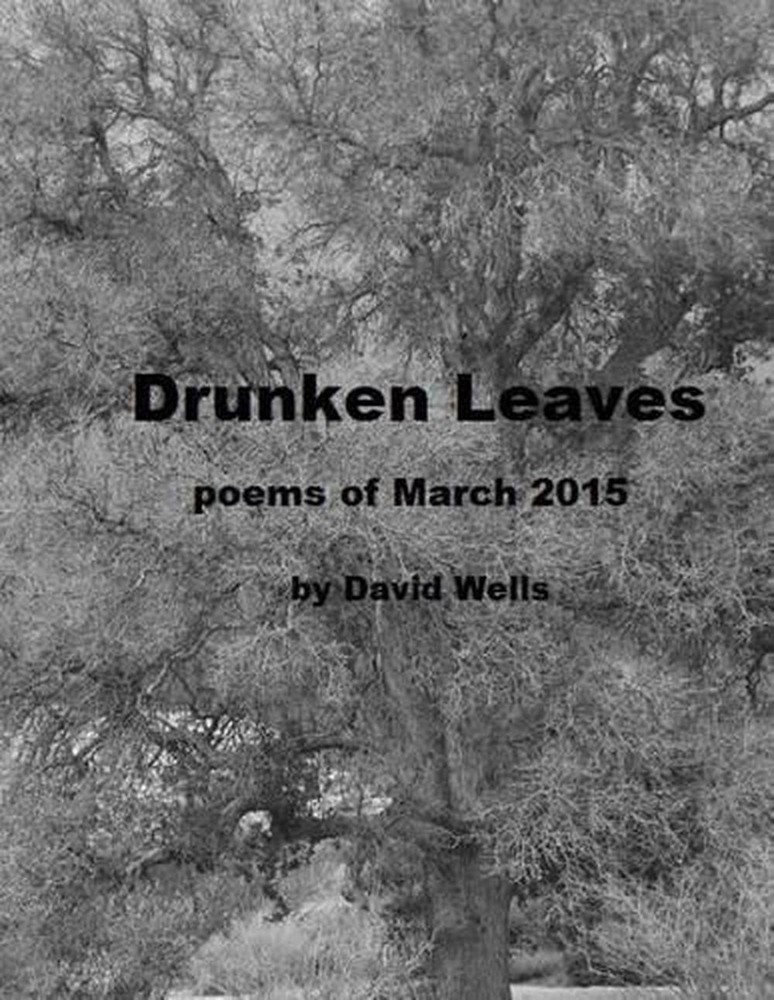 Drunken Leaves: poems of March 2015 by David S. Wells (English) Paperback Book