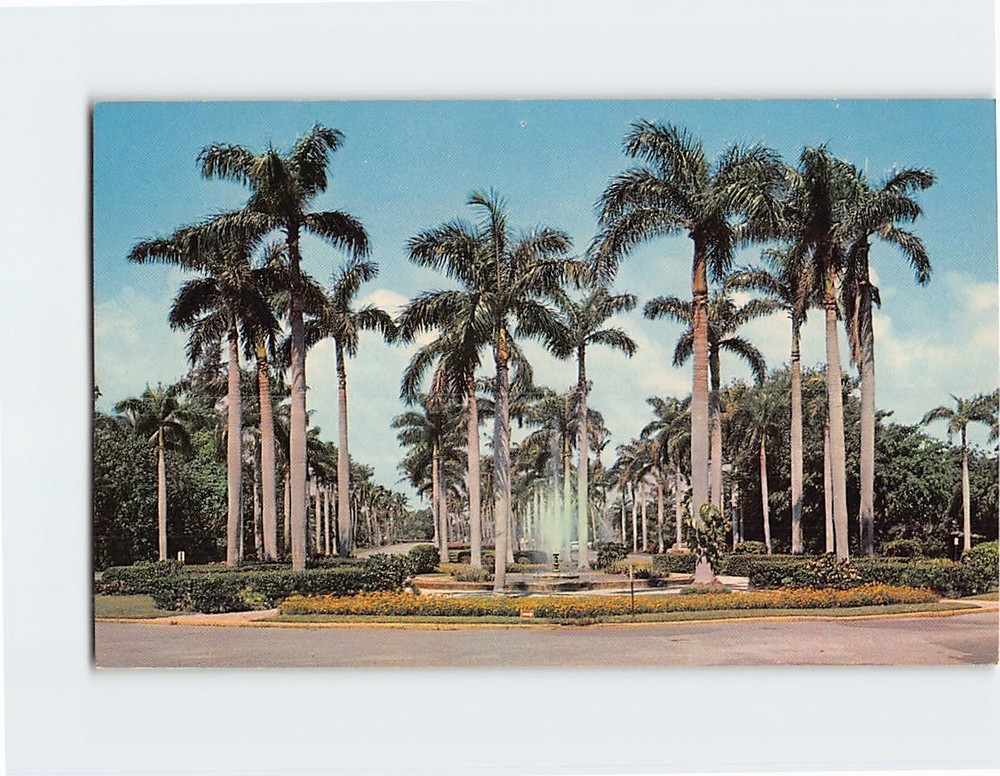 Postcard Royal Palms Florida USA
