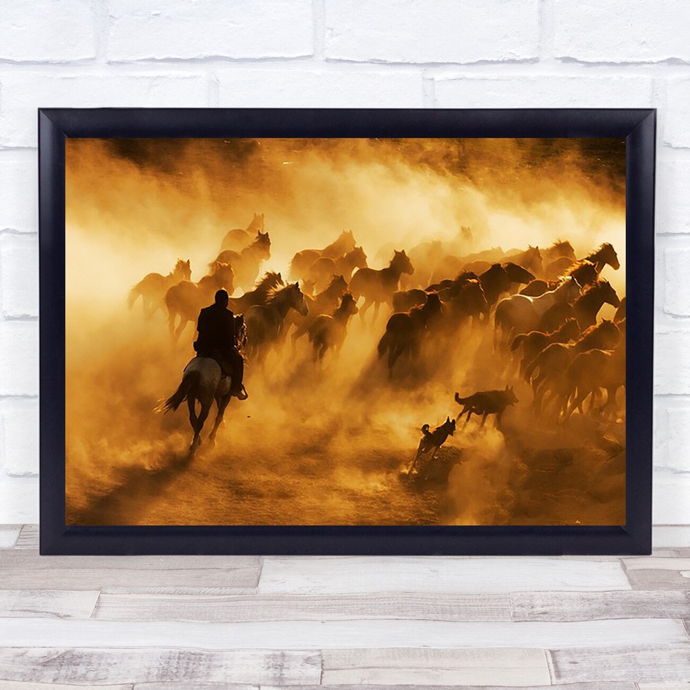 cowboy Animal Animals Horse Horses Action Ride Rider Riding Dust Wall Art Print