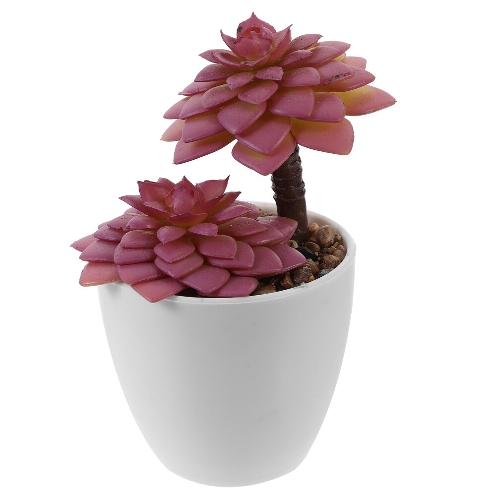 Simulated Plants and Greenery Faux Succulent Decoration Easy to Clean Fake