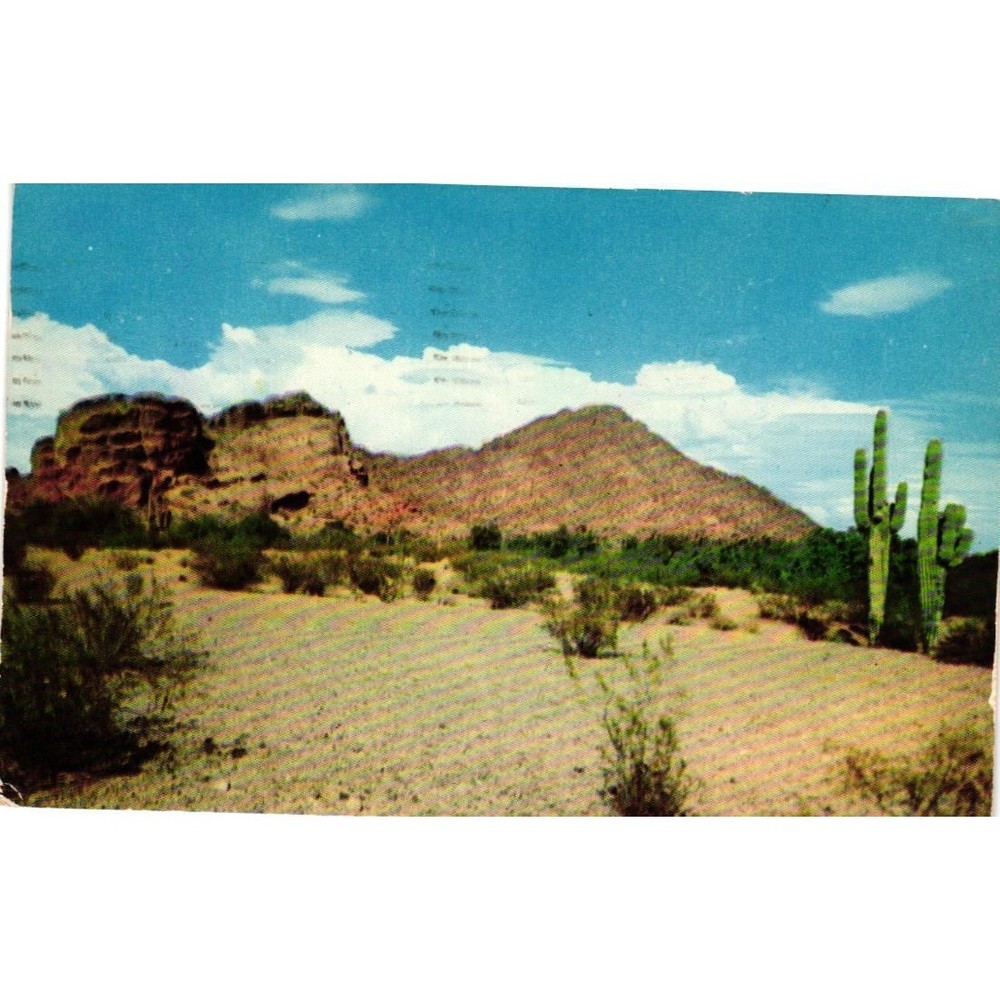 Vintage Camelback Mountain Phoenix Arizona Postcard Saguaro Cactus 1955 Postmark