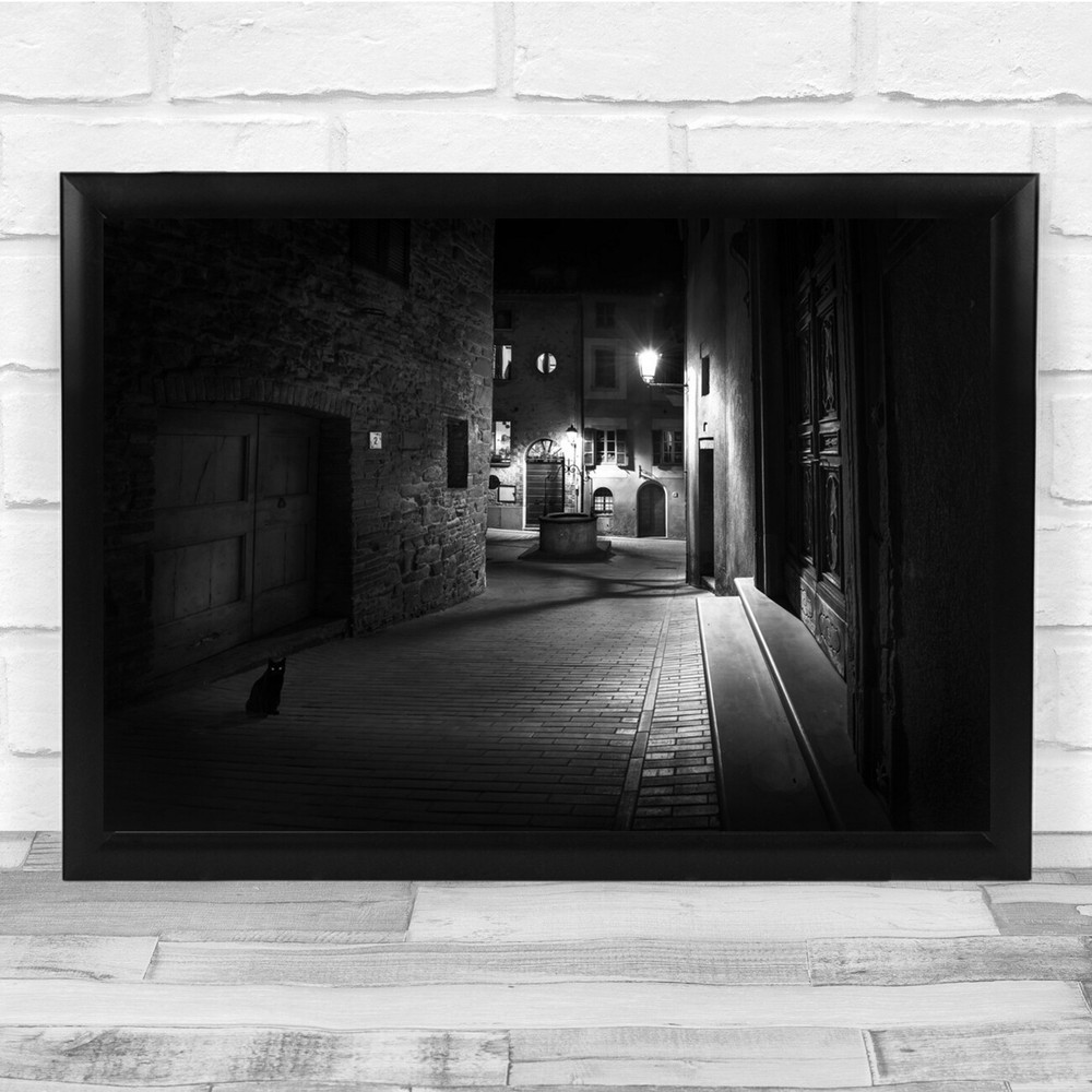 Curious Cat Street Black White Streetlight Dark Wall Art Print