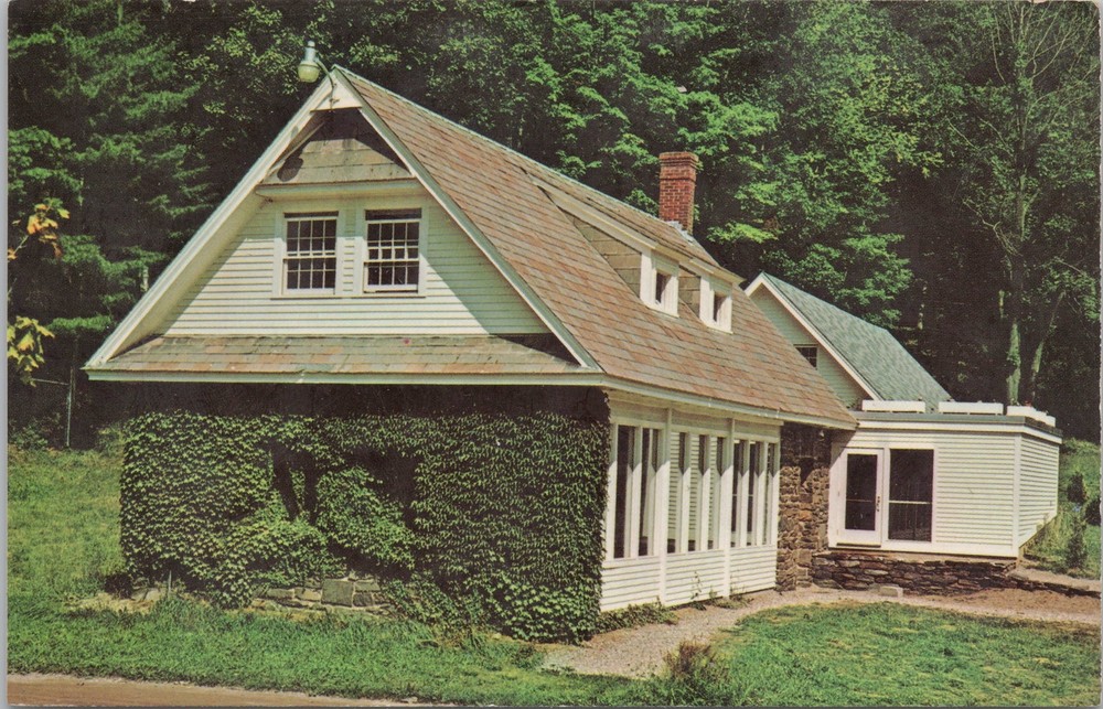 State View~Brattleboro Vermont~Donald B Watt Library~Vintage Postcard