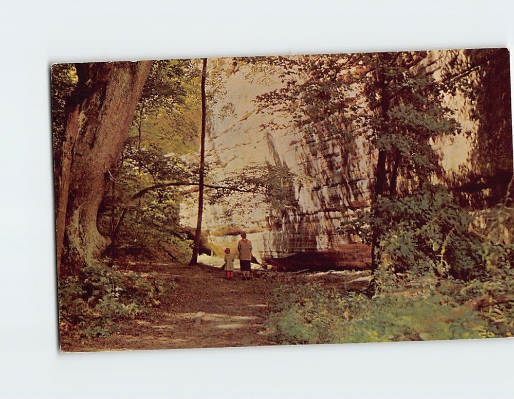 Postcard Ottawa Canyon Starved Rock State Park Illinois USA