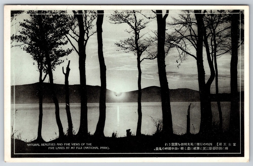 Japan View of Five Lakes Mount Fuji National Park Kaigakenkyukai Postcard