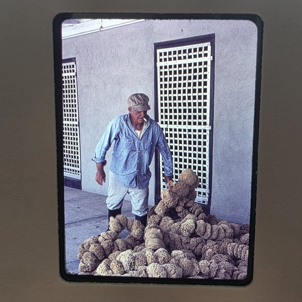 Vintage Fisherman Photo 60s Working Man Handling Sea Sponge Smoking 35mm Slide