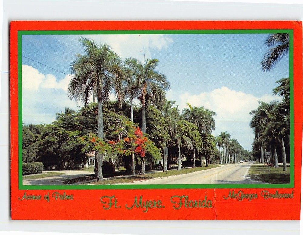 Postcard Avenue of Palms Fort Myers Florida USA