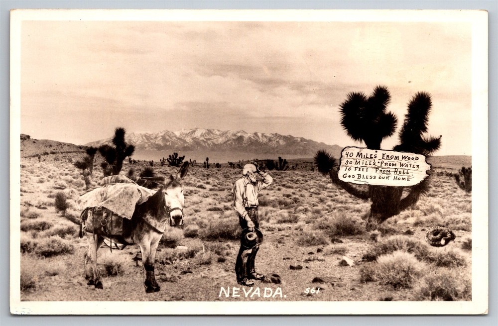 RPPC Old Timer Donkey Pack Mule Middle Of Desert Nevada NV C1941 Postcard AC4