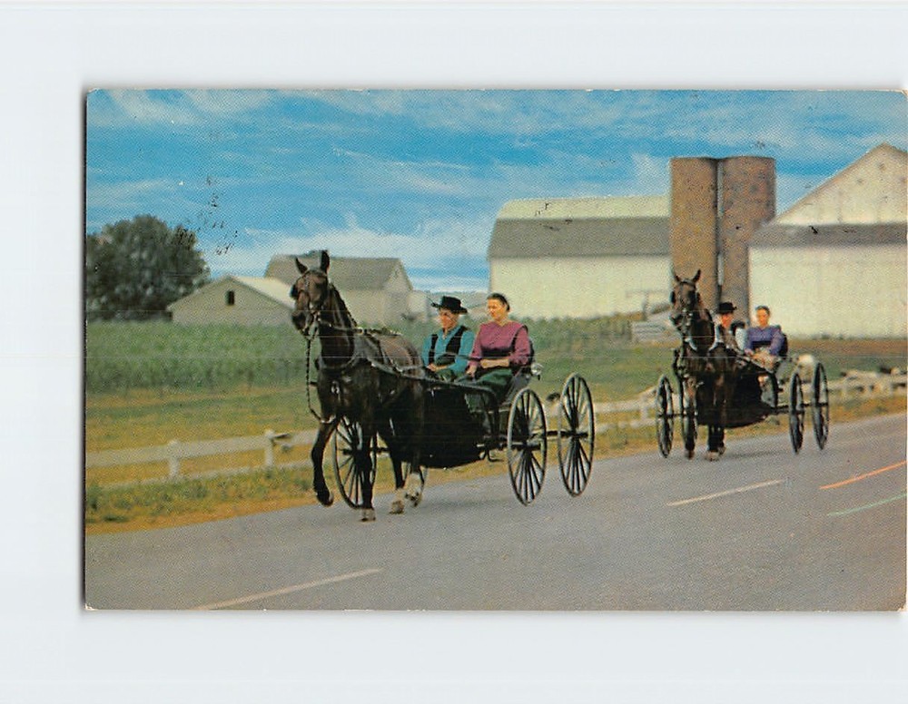 Postcard The Amish Courting Buggies Pennsylvania Dutch Country Pennsylvania USA