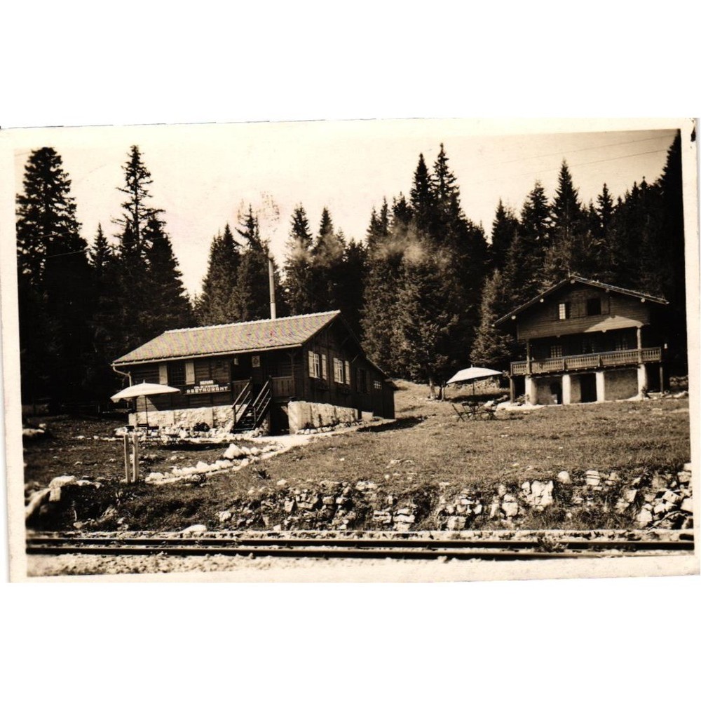 Vintage Postcard Chalet Restaurant La Givrine Switzerland Scenic Mountain View
