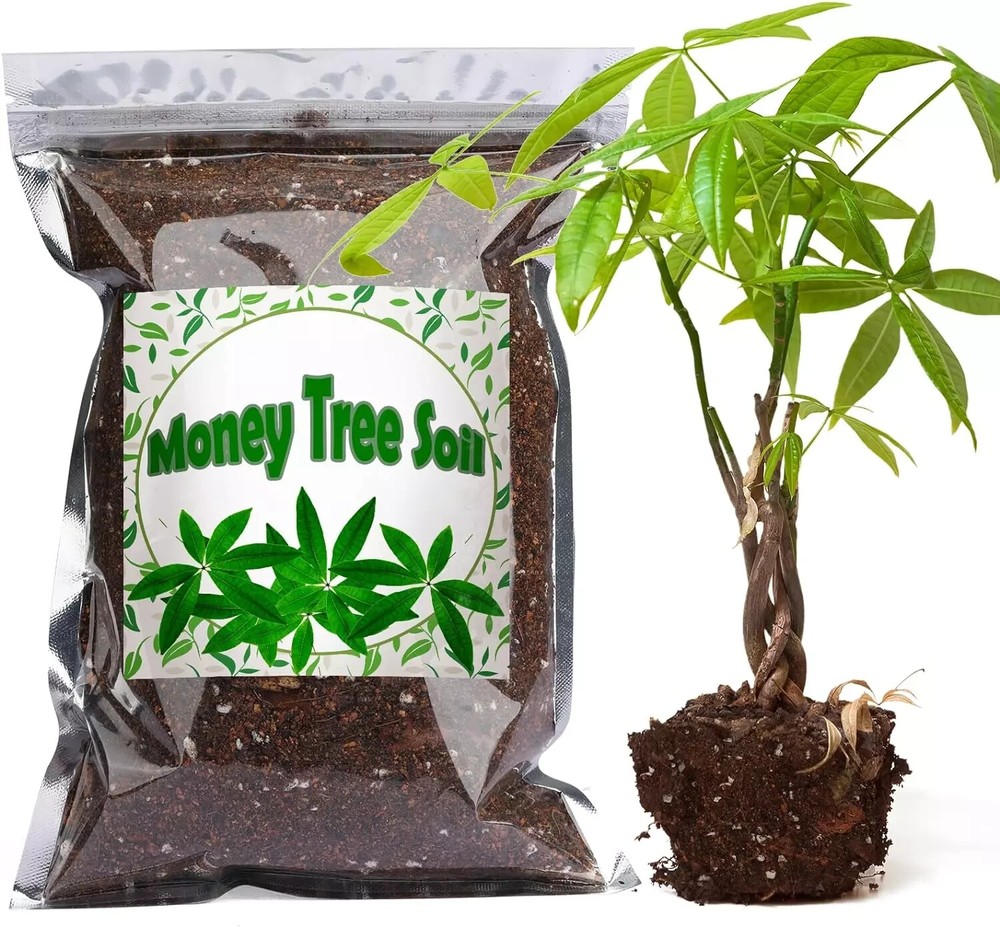 Organic Money Tree Soil Mix 1qt, Indoor Plants Potting Mix for All Potted Money