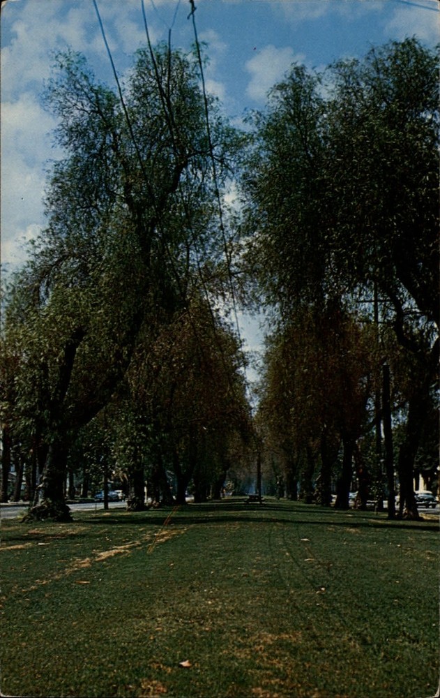 Ontario California Euclid Ave looking north toward Upland ~ unused postcard