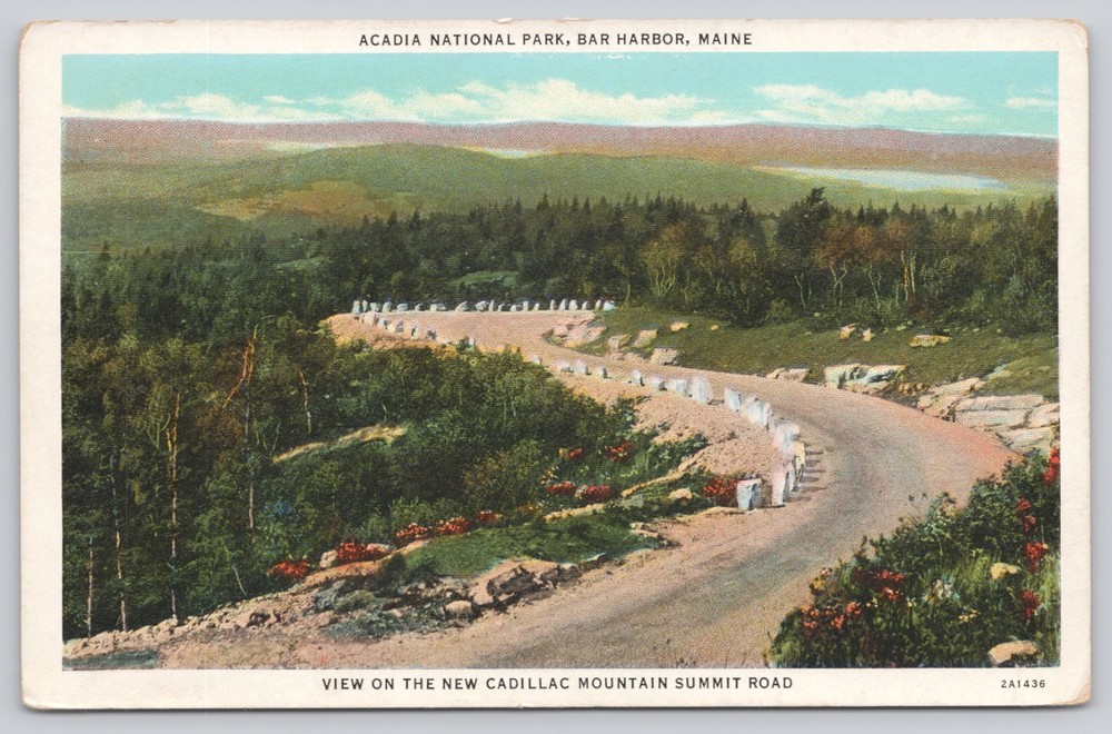 Bar Harbor Maine Acadia National Park Cadillac Road White Border Postcard UP-image