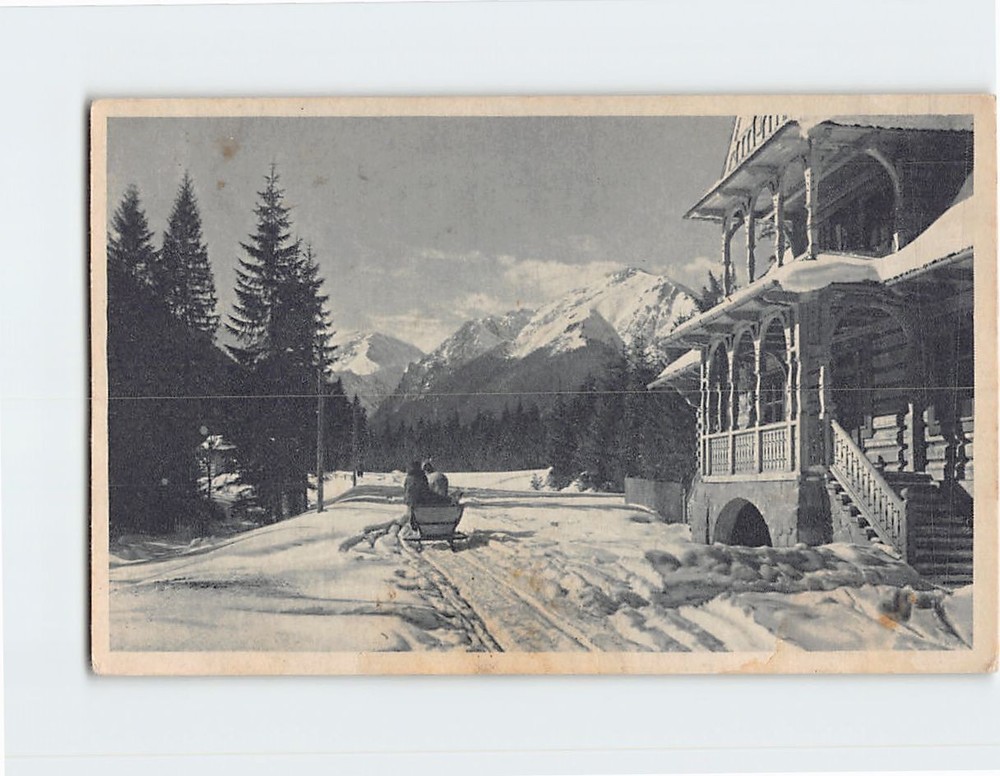 Postcard Snow Sled Winter Scene