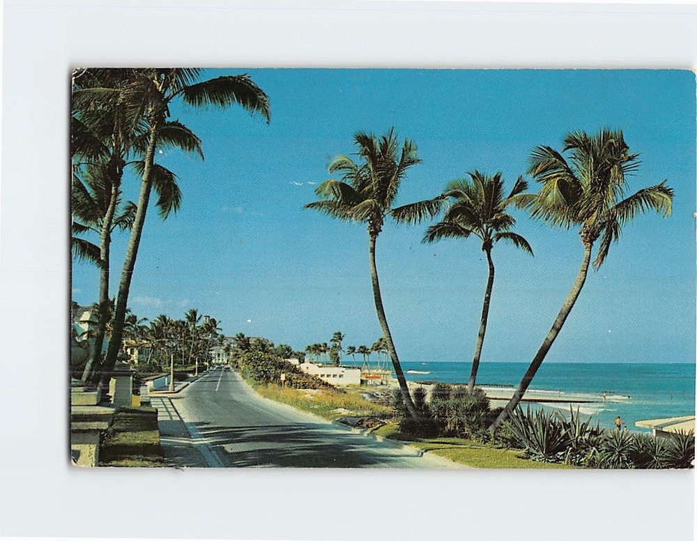 Postcard View Of Beach As Seen From Ocean Blvd. In Palm Beach Florida USA