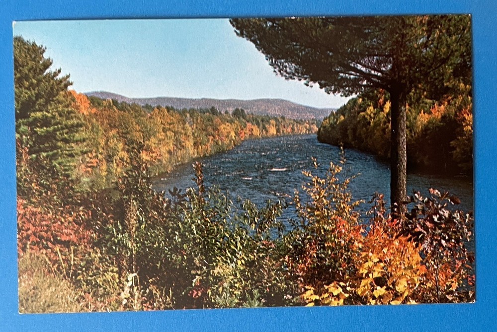Luzerne New York Sacandaga River & Reservoir Vintage Postcard Adirondacks