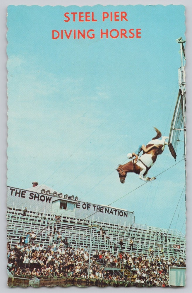Steel Pier Diving Horse Atlantic City New Jersey NJ 1960s Vintage Postcard