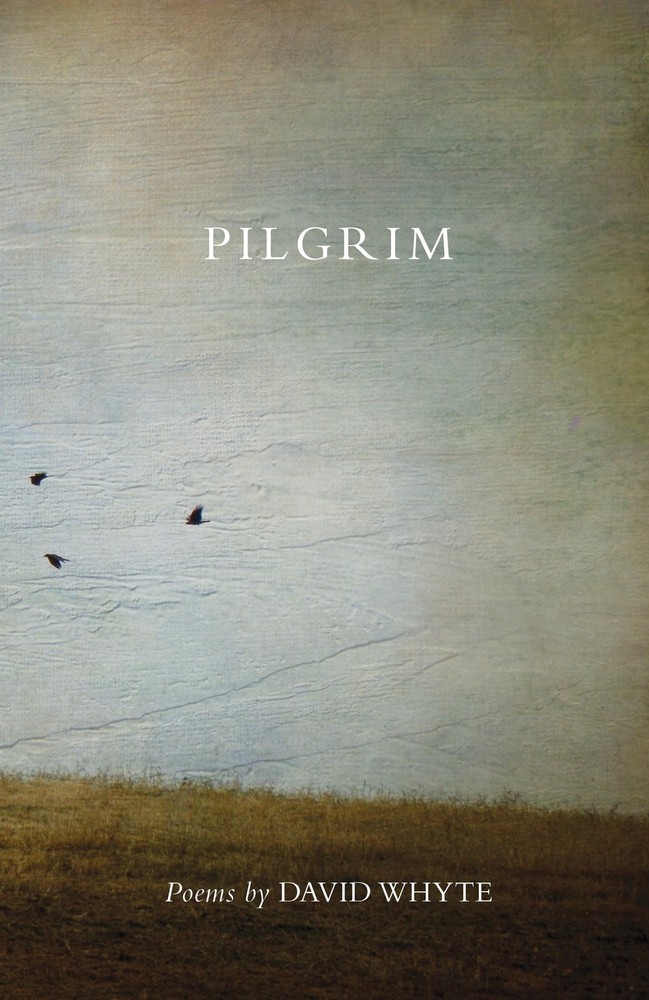 Pilgrim - paperback Whyte, David