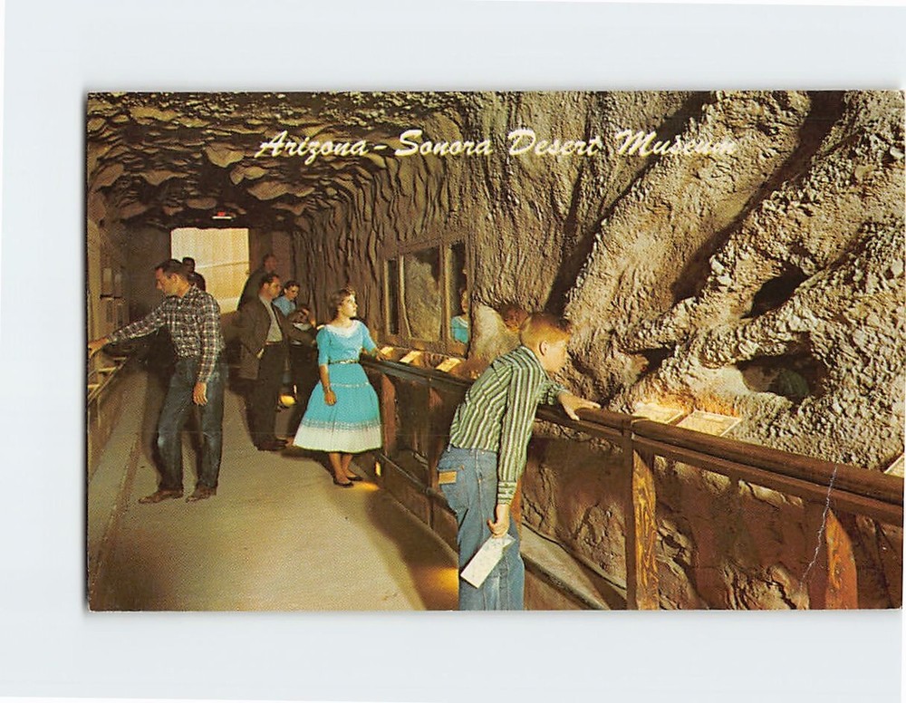 Postcard Underground Tunnel Sonora Desert Museum Tucson Arizona USA