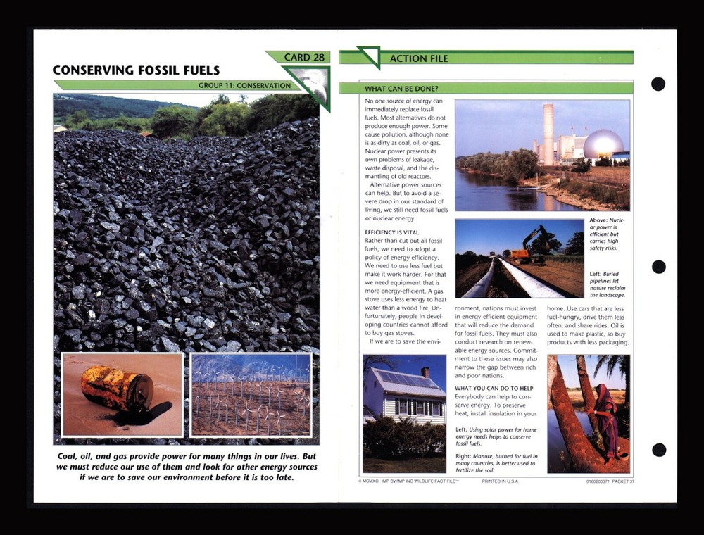 Wildlife Fact File Card – Conserving Fossil Fuels for Home School Conservation