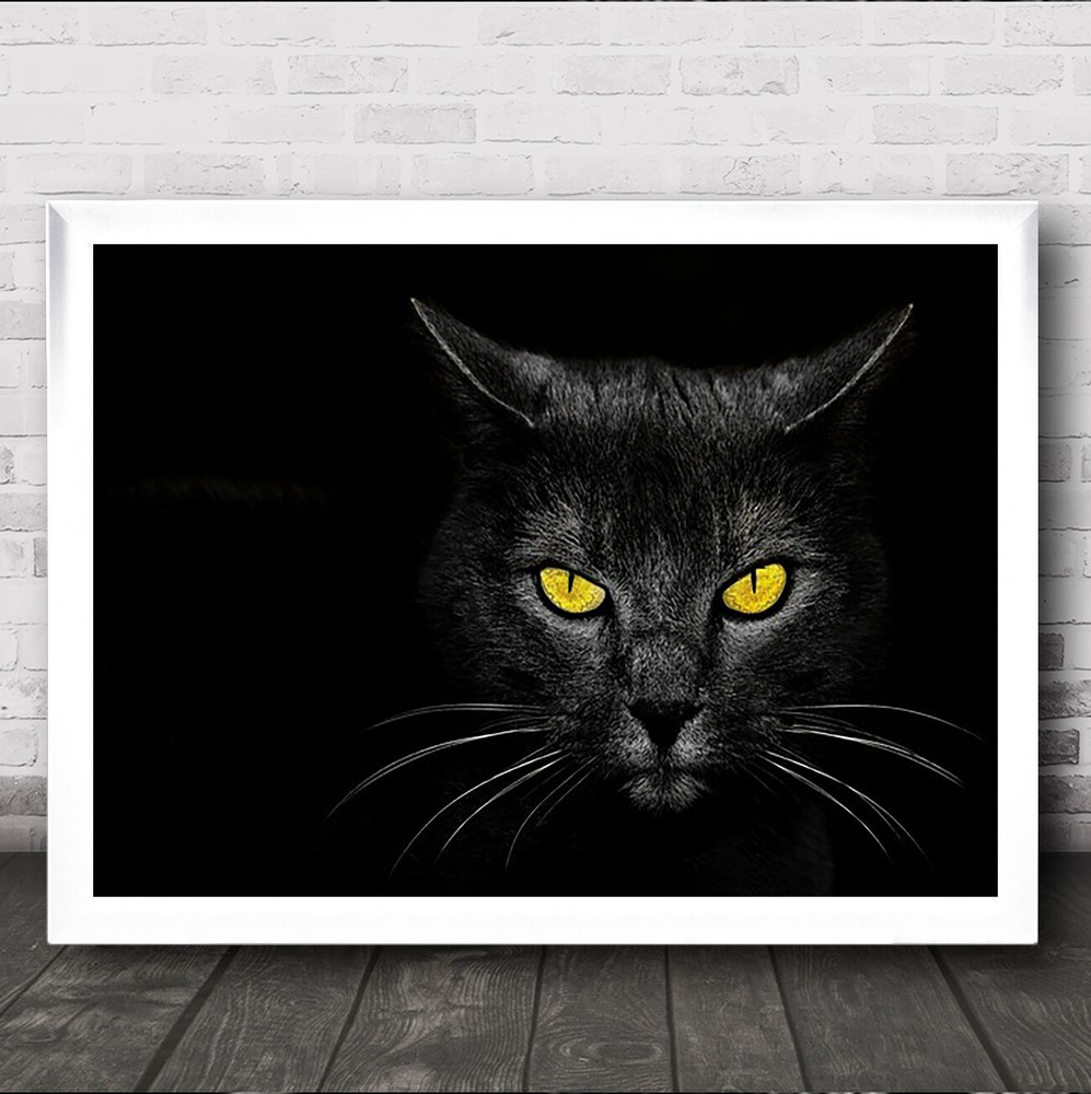 Monster Kill Animal Cat Pet Eyes Yellow Black Dobro Polje Dark Wall Art Print