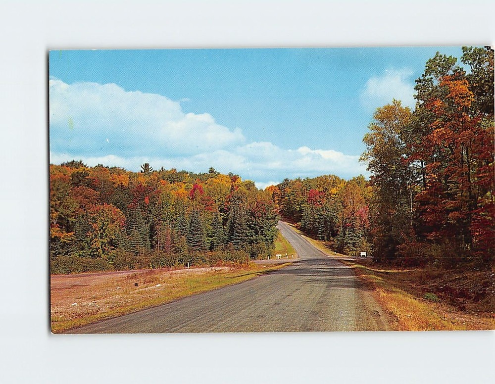 Postcard Autumn Highway Nature Scene