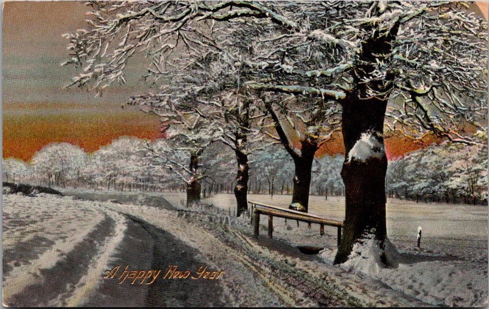 Snow Covered Trees Road Winter Scene A Happy New Year Postcard