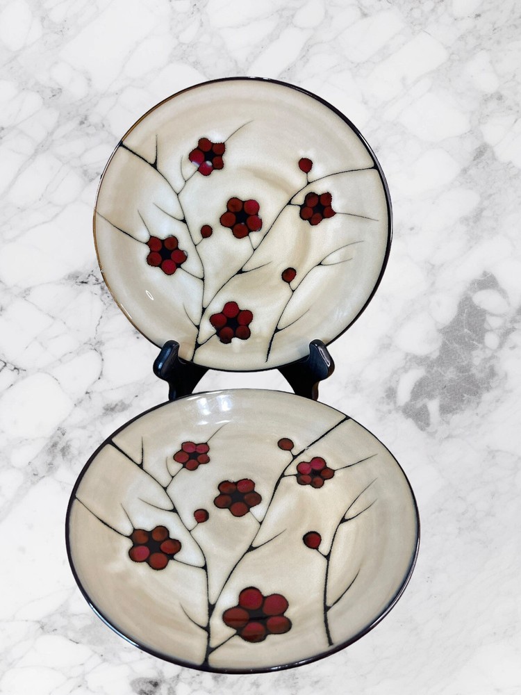 Set Of 2 Pfaltzgraff Studio ASTER Dinner Plates Poppy Flowers 11 in Discontinued