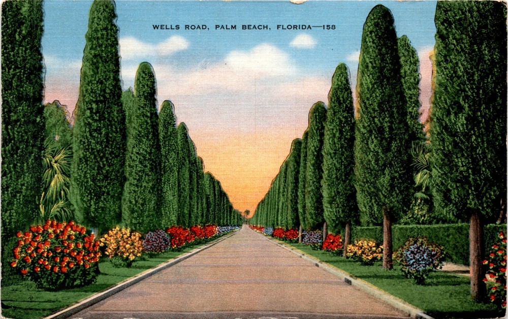 WELLS ROAD, PALM BEACH, FLORIDA, Australian Pines, Developed since Postcard