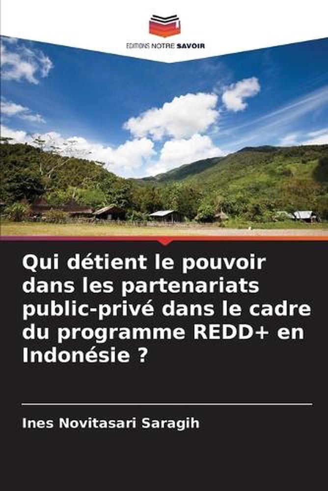 Qui dtient le pouvoir dans les partenariats public-priv dans le cadre du program