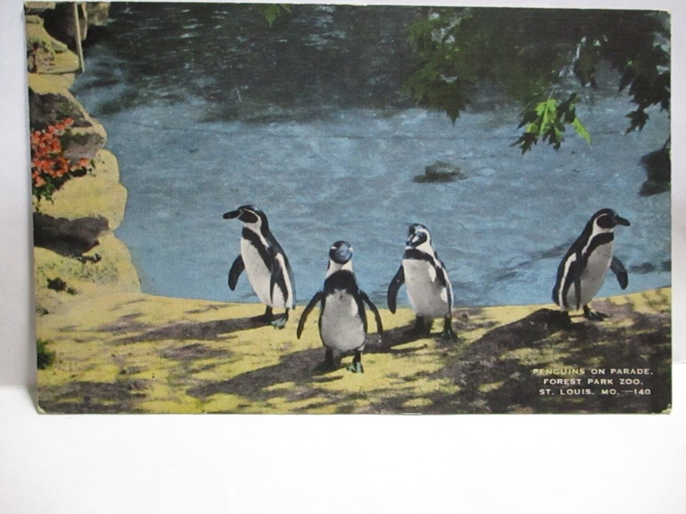 Wwii Postcard 