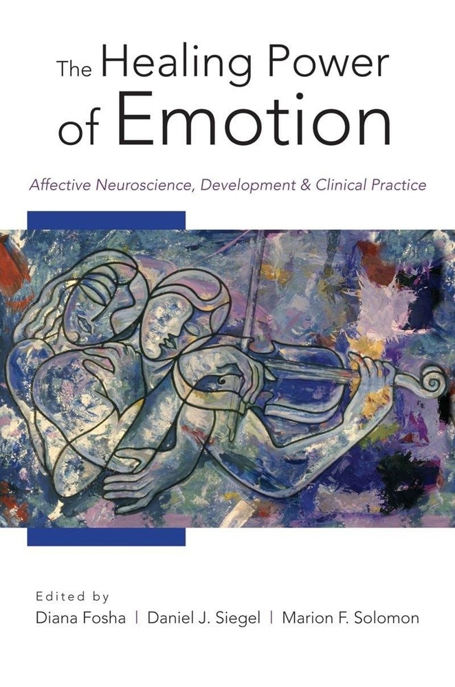 Norton Series on Interpersonal Neurobiology Ser.: Healing Power of Emotion :...