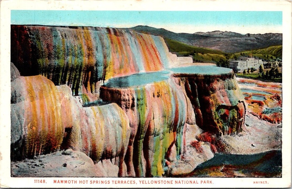 c1920 Mammoth Hot Spring Terraces Yellowstone Park Wyoming Vintage Postcard