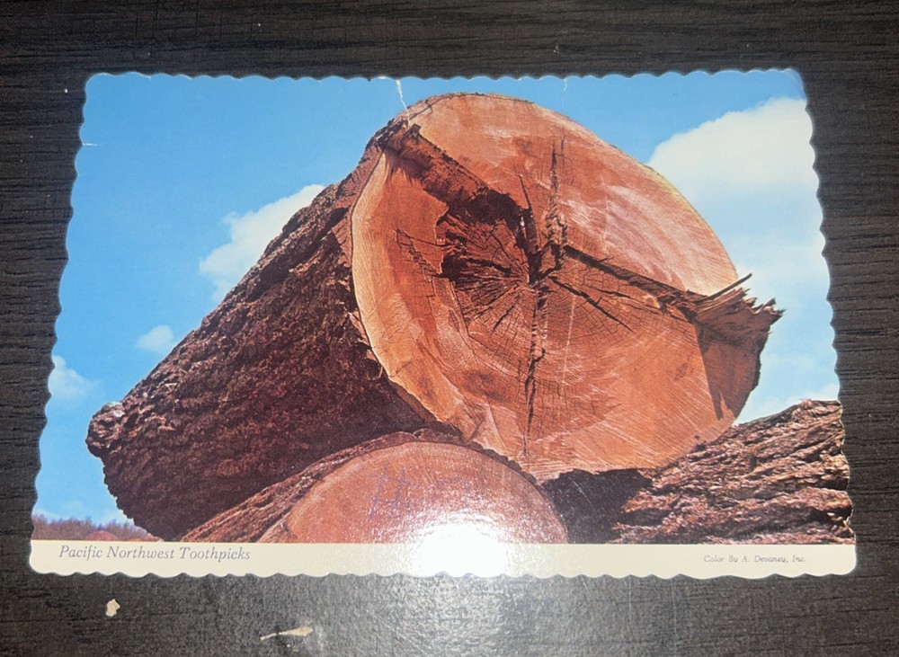 Pacific Northwest Toothpicks Giant Logs Postcard Unposted