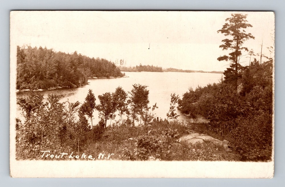 Trout Lake, NY-New York, RPPC Lakeside Forest Shoreline, Vintage Postcard