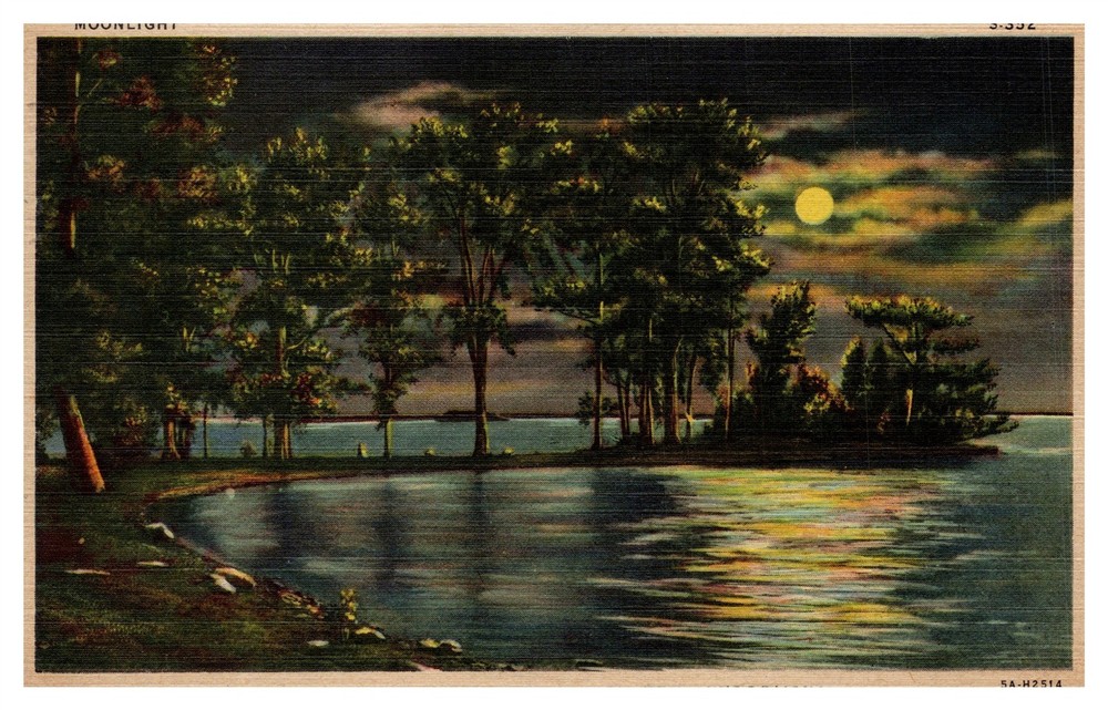 Greetings From Chetek Lake Night Scene Full Moon WI C1940s Postcard AF6