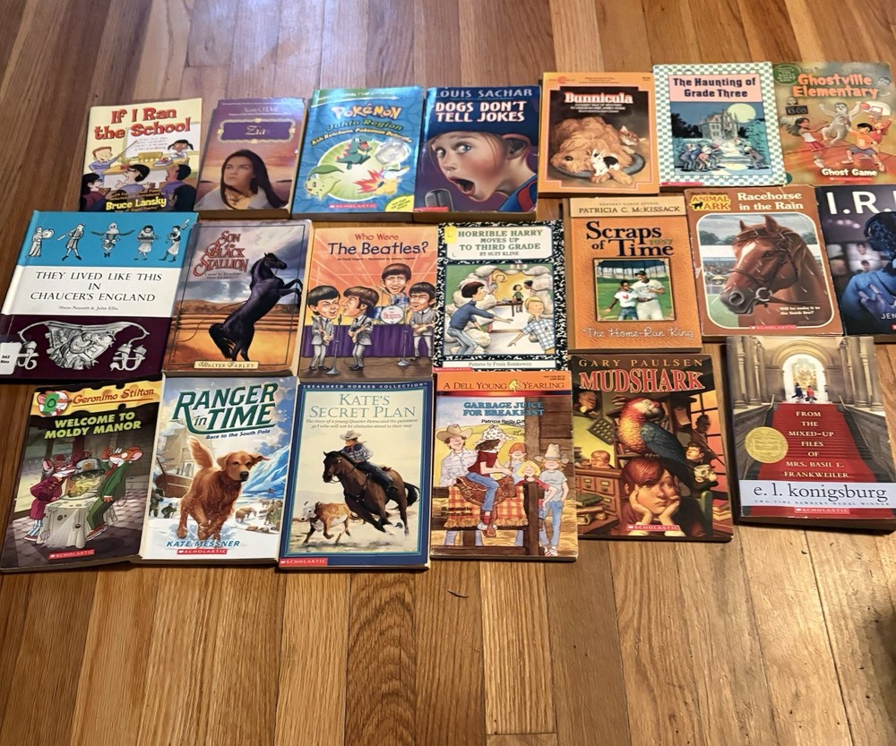 Lot Of 20 Mixed Preowned Children Chapter Books
