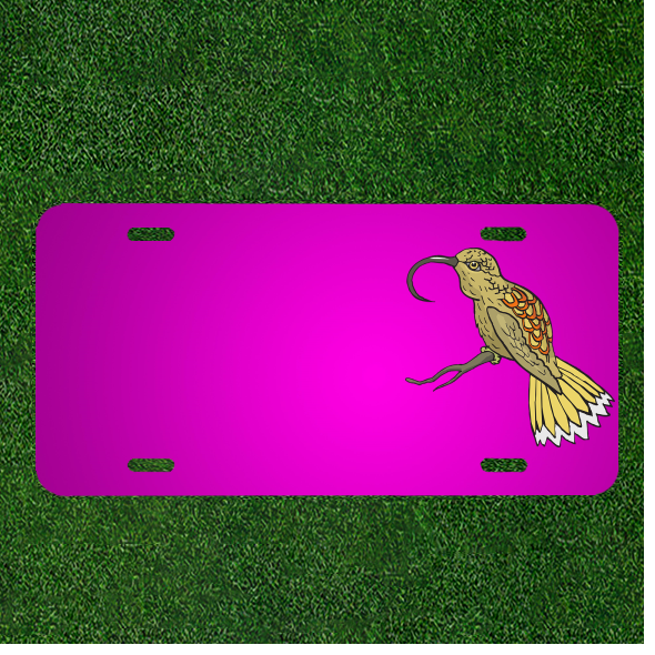 Custom Car License Plate with Personalized Bird Beak Name Design