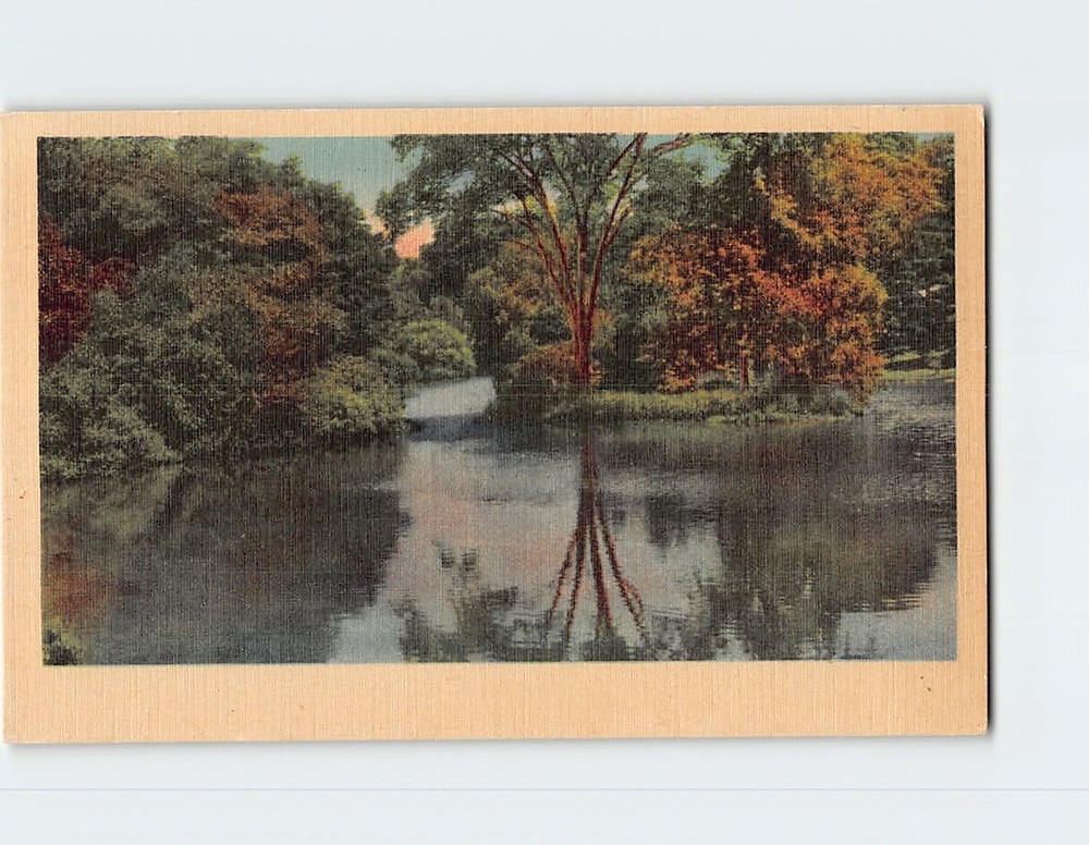 Postcard Lake Trees Nature Landscape Scenery