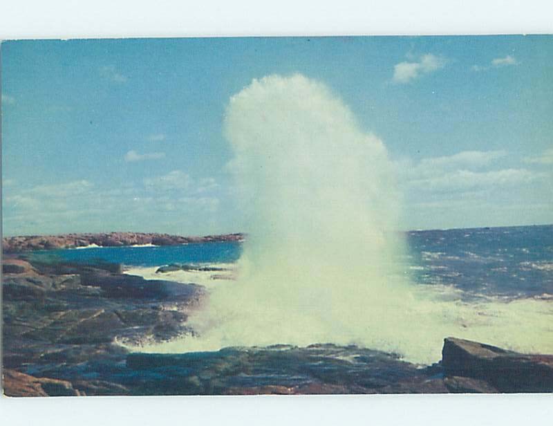 Pre-1980 NATURE SCENE Acadia National Park - Bar Harbor Maine ME m/09 AD3261-image
