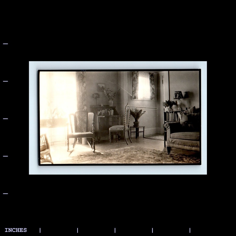 Old Vintage Photo INTERIOR LIVING ROOM LIGHT WINDOW SAN FRANCISCO CALIFORNIA