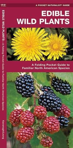 Waterford Press James Kavanagh Edible Wild Plants (Pamphlet)Another great item from Rarewaves USA | Free delivery!
