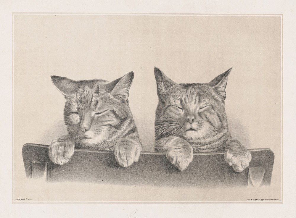 Victorian Cat Art Poster - Elegant Wall Decor for Pet Lovers