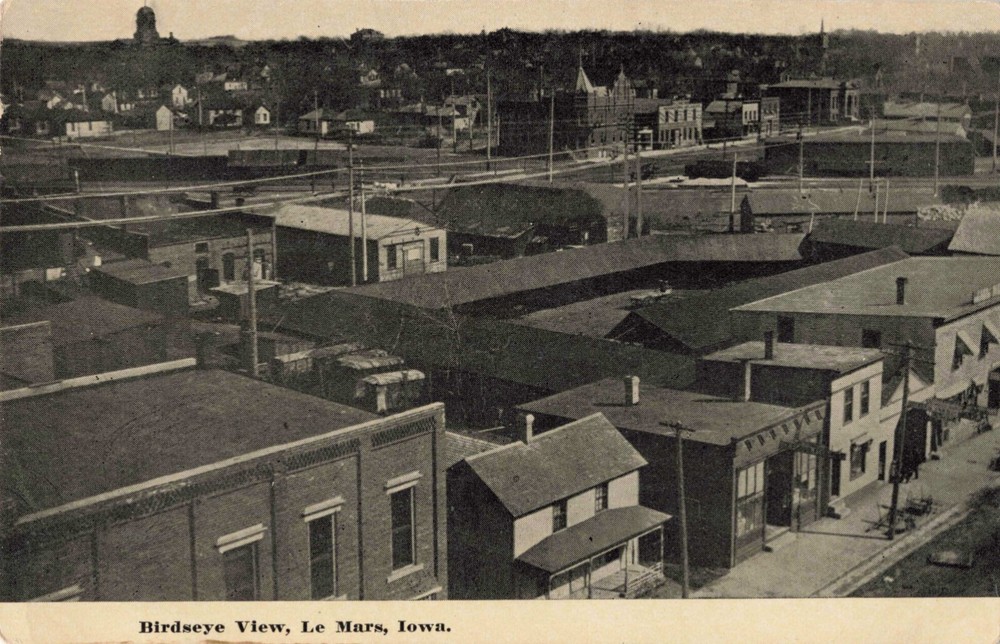 Birdseye View Le Mars Iowa IA Street Scene Houses c1910 Postcard