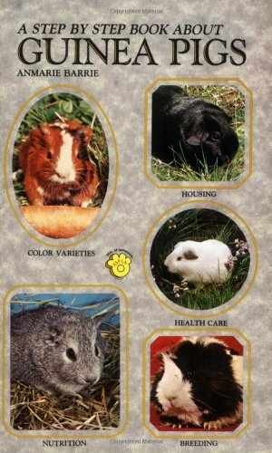 Step-By-Step Book About Guinea Pigs - Paperback, by Barrie Anmarie - Very Good