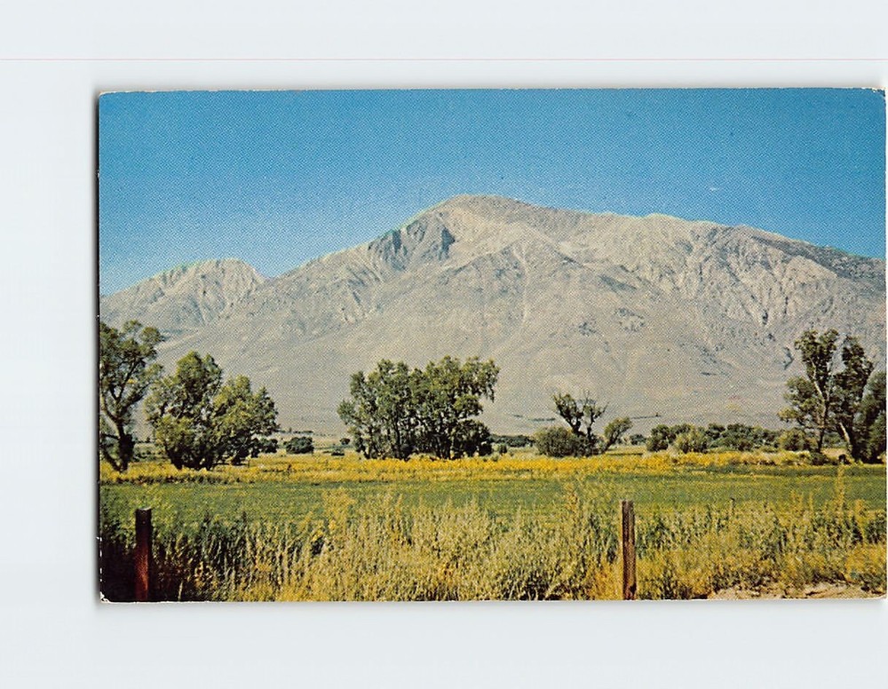 Postcard Mt. Tom Northern Owens Valley California USA