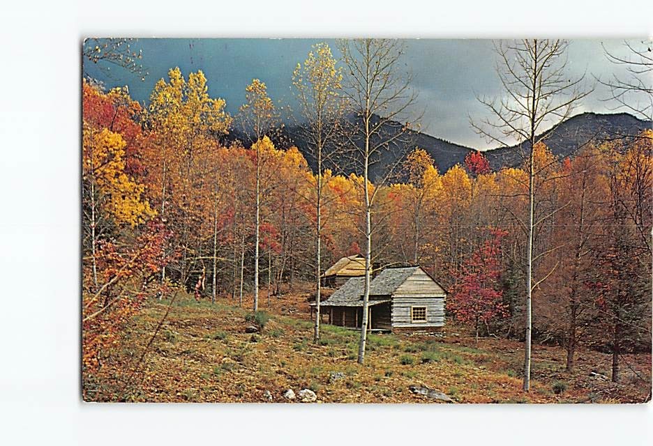 Postcard Junglebrook Homestead on the Cherokee Orchard North Carolina USA