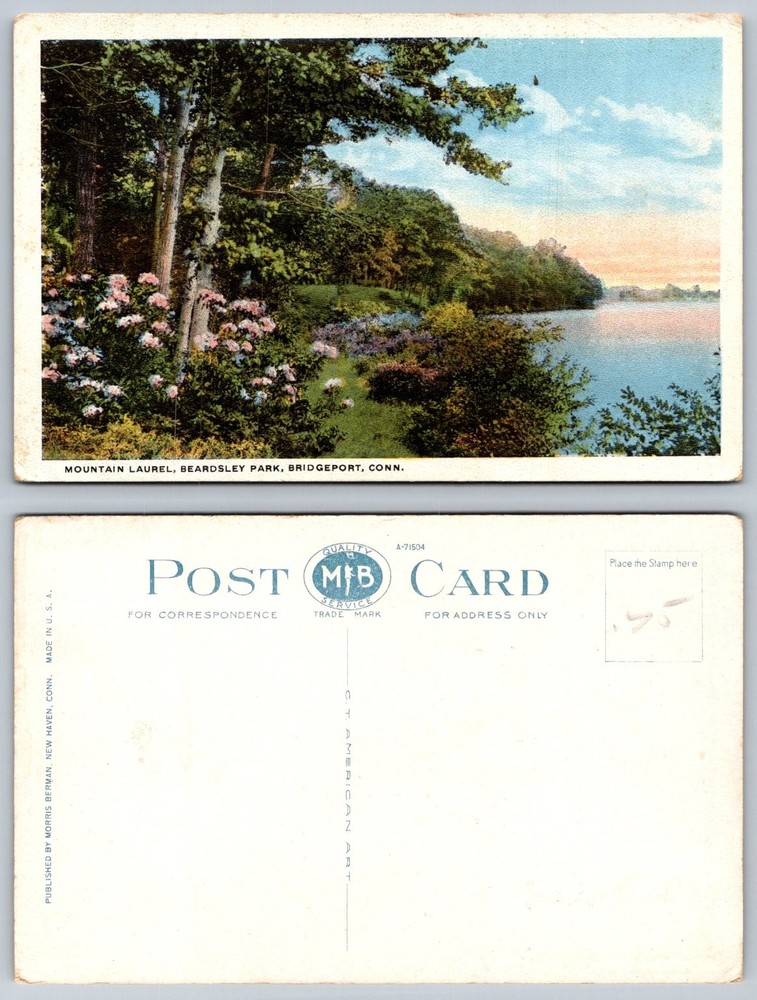 Vintage Mountain Laurel Beardsley Park Bridgeport CT Postcard Morris Berman