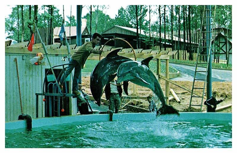 Postcard TOURIST ATTRACTION SCENE Atlanta Georgia GA m/09 AT5210